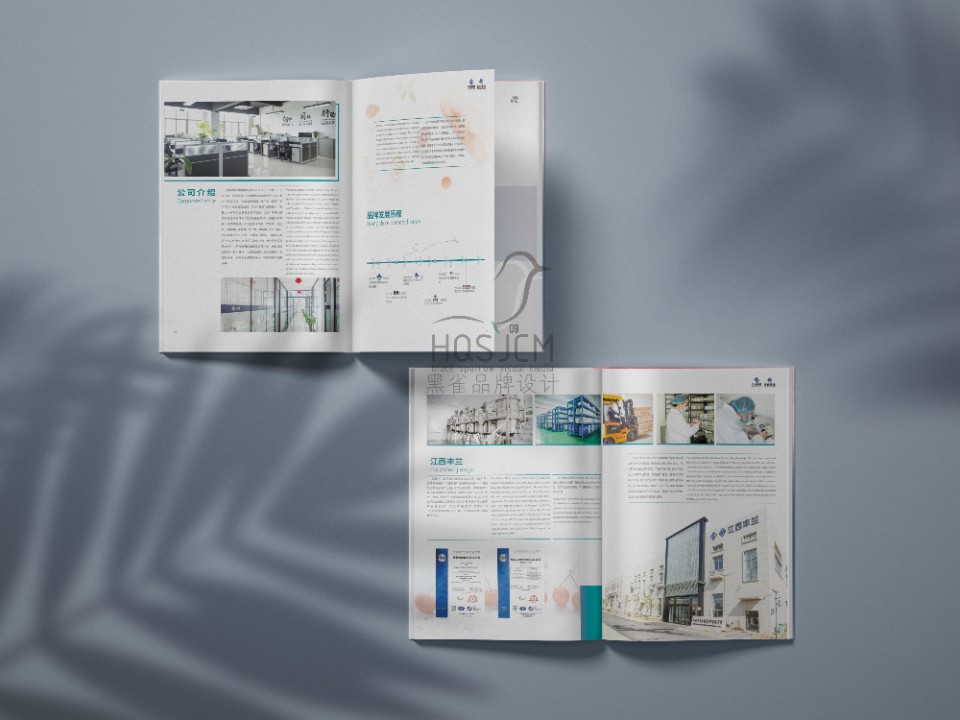 豐蘭香精公司畫冊設(shè)計(jì)